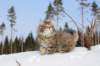 img_8359_small.jpg