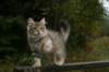 img_9094_small.jpg