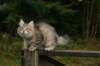 img_9114_small.jpg