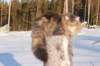 odin7kk3vi23257_small.jpg
