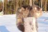 odin7kk3vi23260_small.jpg