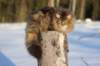 odin7kk3vi23262_small.jpg