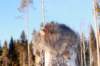 odin7kk3vi23280_small.jpg