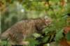 img_8882_small.jpg
