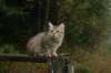 img_9180_small.jpg