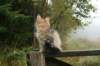 img_9276_small.jpg