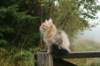 img_9278_small.jpg