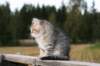 onesimus12_small.jpg