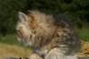 oralee14_small.jpg
