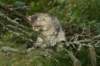 img_8921_small.jpg