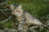 img_8922_small.jpg