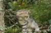 img_8923_small.jpg