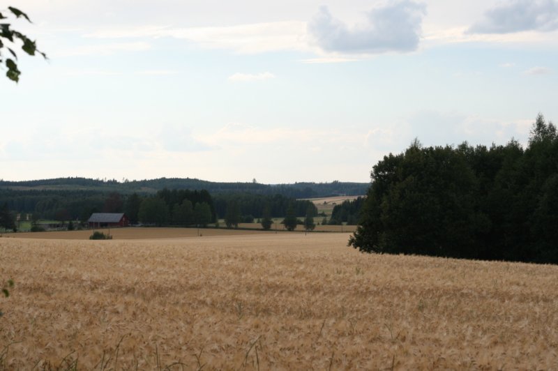 kauniselokuuniceaugust.jpg