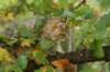 img_8977_small.jpg