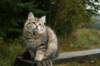 img_9049_small.jpg