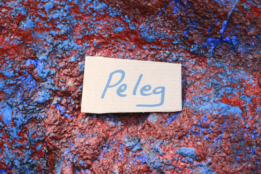 pelegboy4weeks.jpg