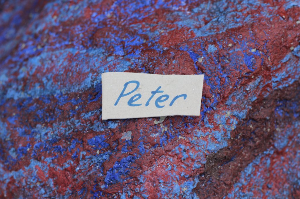 peterboy4weeks.jpg