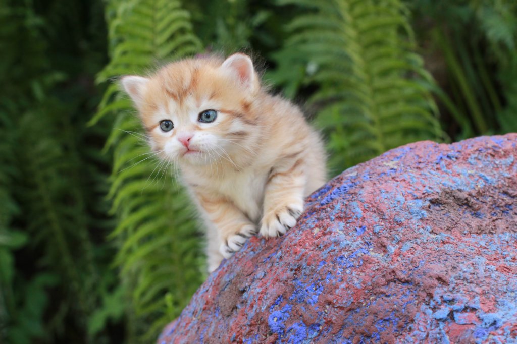 peterboy4weeks15.jpg