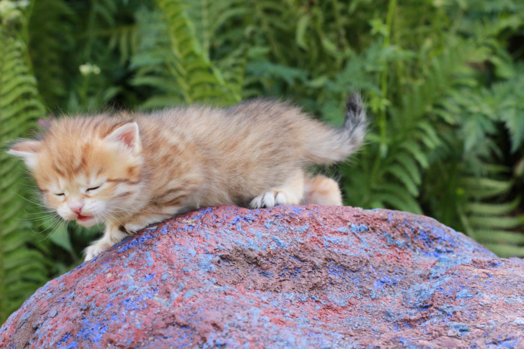 peterboy4weeks25.jpg