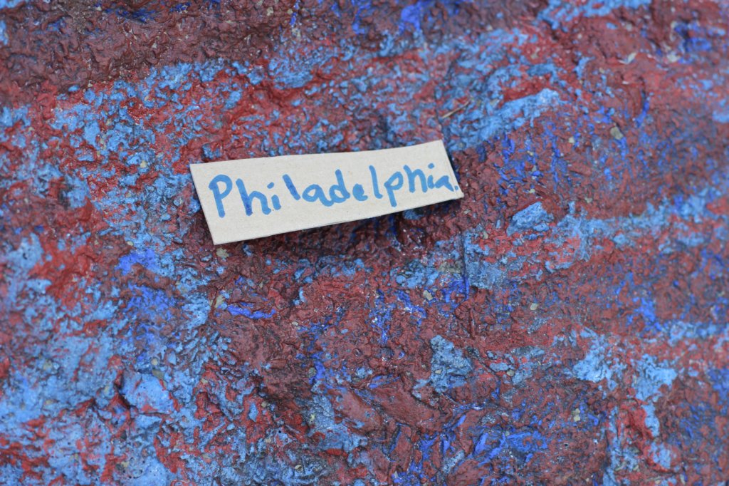 philadelphiagirl4weeks.jpg