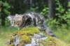 paulos15weeks26824_small.jpg