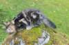 paulos15weeks26835_small.jpg