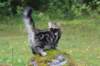 paulos15weeks26838_small.jpg