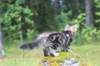 paulos15weeks26843_small.jpg