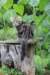 paulos15weeks26846_small.jpg