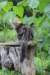 paulos15weeks26847_small.jpg