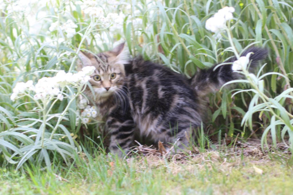 paulosboy13weeks11817.jpg