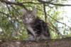 paulosboy13weeks11848_small.jpg