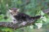 paulos8weeks25_small.jpg