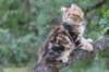 pelegboy13weeks11824_small.jpg