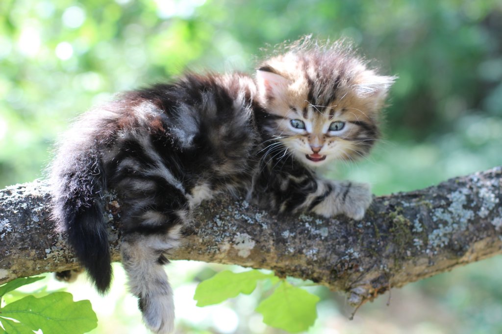 pelegboy5weeks1.jpg