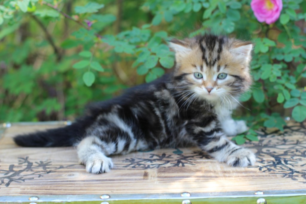 pelegboy5weeks12.jpg