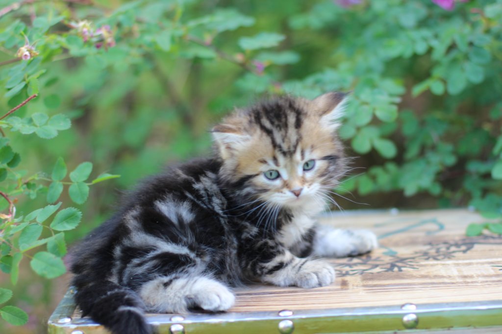 pelegboy5weeks16.jpg