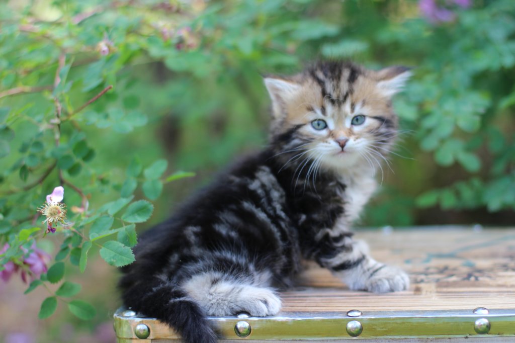 pelegboy5weeks17.jpg