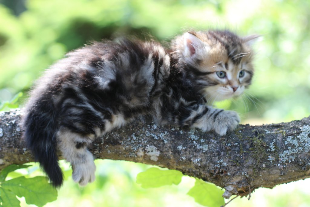 pelegboy5weeks28.jpg