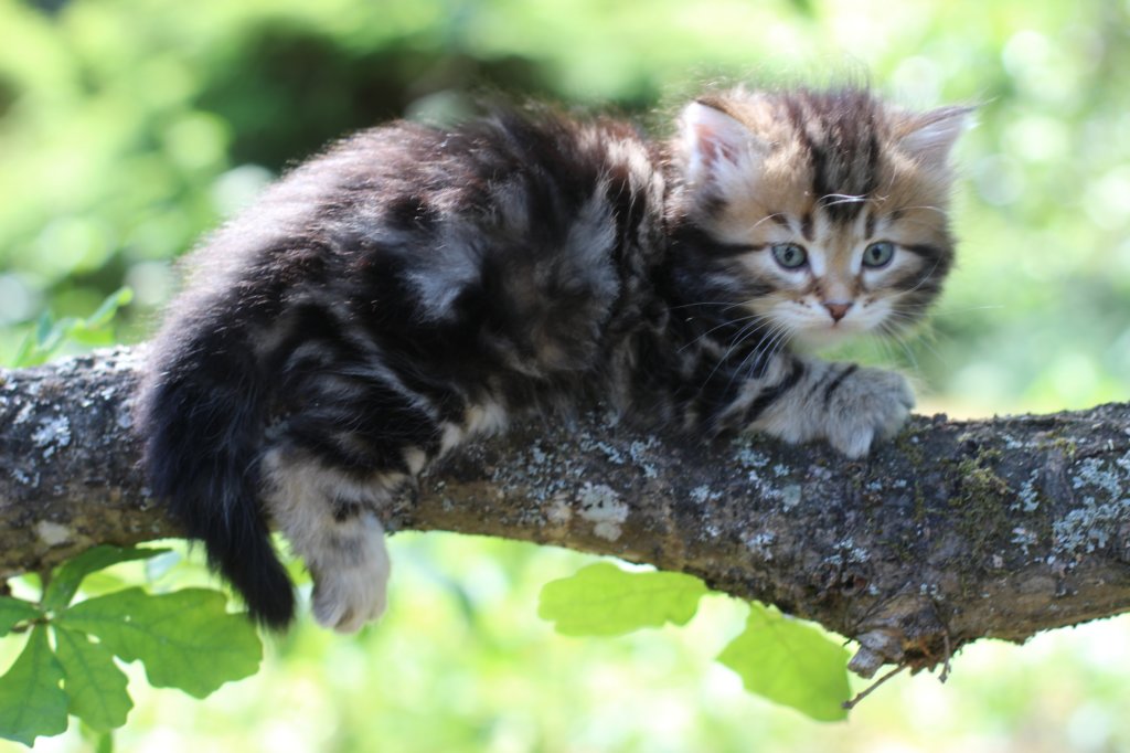 pelegboy5weeks29.jpg