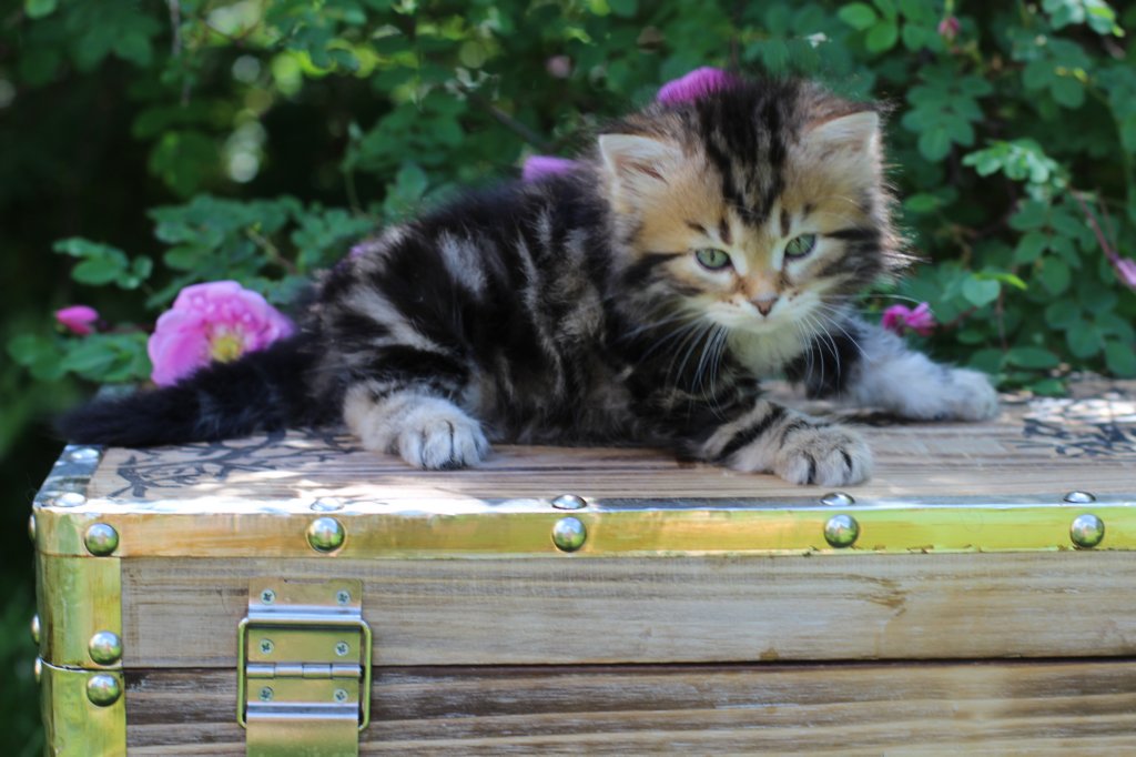pelegboy5weeks8.jpg