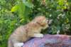 img_0840_small.jpg