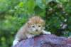 img_0859_small.jpg