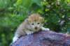 img_0860_small.jpg