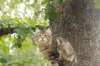 phebe15weeks268128_small.jpg