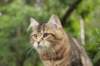 phebe15weeks26836_small.jpg