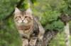 phebe15weeks26838_small.jpg