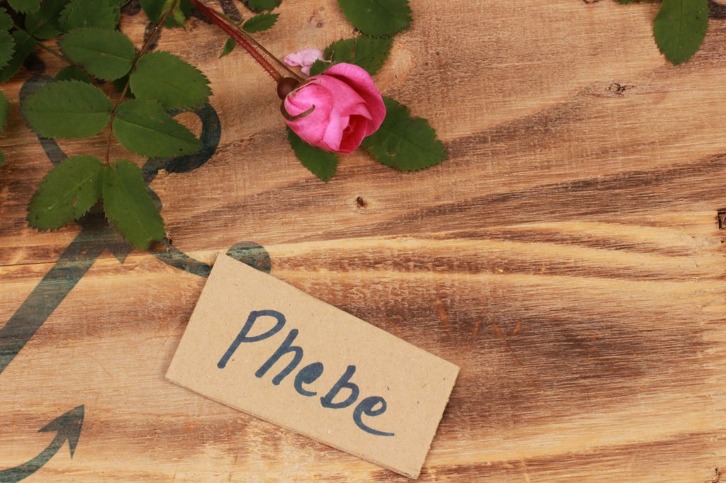 phebe1month8.jpg