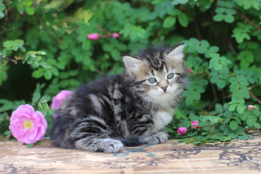 phebe5weeks29.jpg