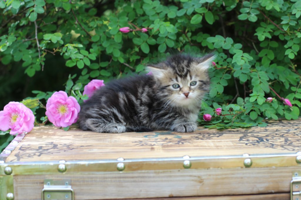 phebe5weeks57.jpg